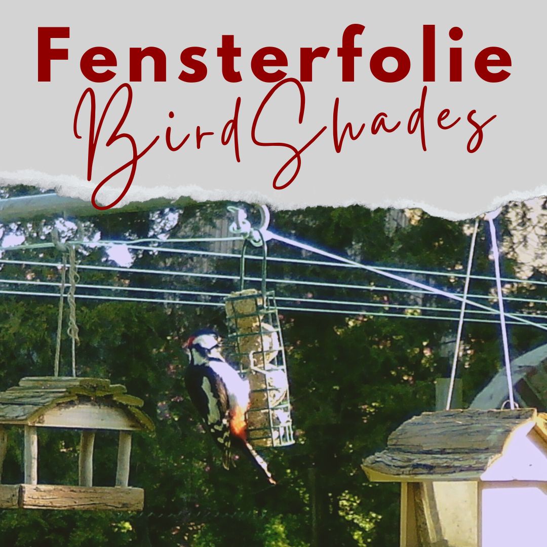 BirdShades Fensterfolie zum Vogelschutz